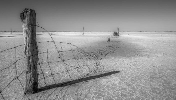 Landscape-20