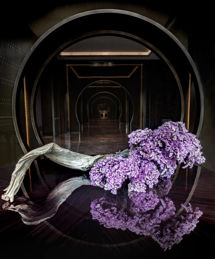 Hotels & Venues-1